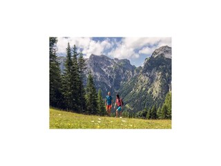 Appartement Pertisau am Achensee Environnement 53