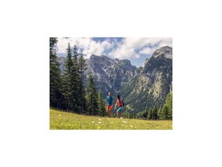 Apartment Pertisau am Achensee Umgebung 22