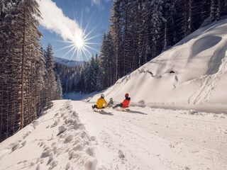 Appartamento Pertisau am Achensee Ambiente 39