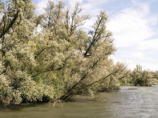 Holiday park Oosterhout Environment 16