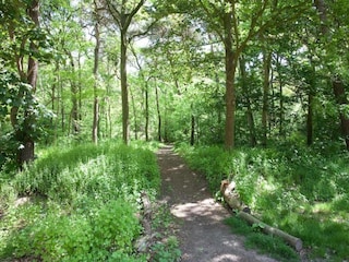 Vakantiepark Oosterhout Omgeving 11