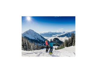 Appartement Pertisau am Achensee Omgeving 19