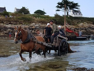 Ferienpark Landéda Umgebung 19