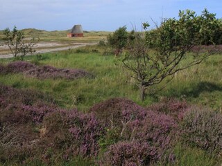 Vakantiepark De Koog Omgeving 32