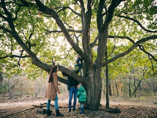 Parco vacanze Oosterhout  35