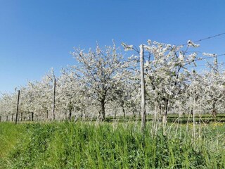 Vakantiepark Maastricht Omgeving 19