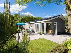 Holiday park Modern chalet in Park De Veluwe - Beekbergen - image1