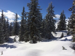 Appartamento per vacanze Zell am Ziller Documento 44