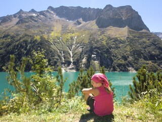 Appartamento per vacanze Zell am Ziller Ambiente 24