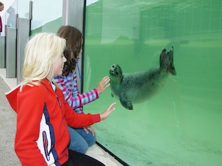 Holiday park Den Burg Environment 20