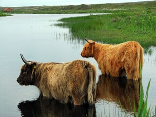 Vakantiepark Den Burg Omgeving 25