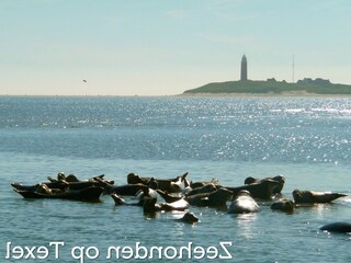 Parque de vacaciones Den Burg Entorno 23