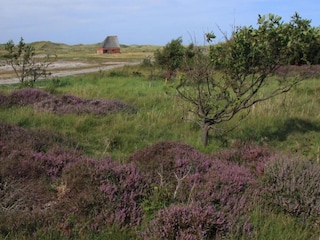 Vakantiepark Den Burg Omgeving 19