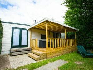 Holiday park Chalet near Loonse and Drunense Duinen - Udenhout - image1