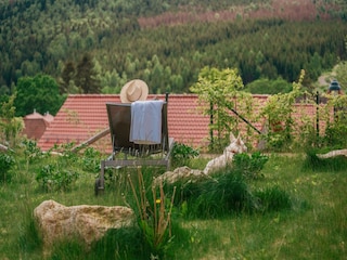 Holiday park Schierke Outdoor Recording 3