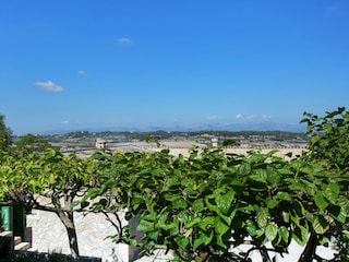 Ferienpark Lloret de Vistalegre Außenaufnahme 5