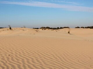 Vakantiepark Udenhout Omgeving 18