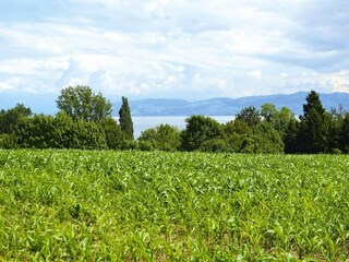 Vakantiepark Immenstaad Omgeving 6