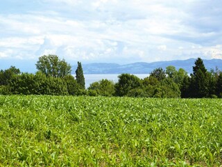 Ferienpark Immenstaad Umgebung 6