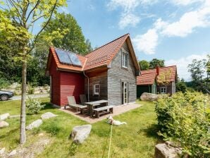 Ferienpark Vakantiehuizen in het Schierke Harzresort op de Brocken, Schierke