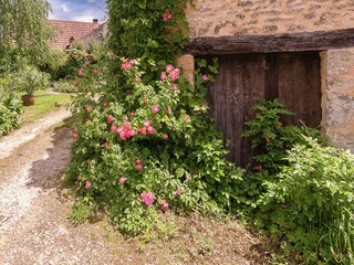 Ferienpark Les Eyzies-de-Tayac-Sireuil Umgebung 32