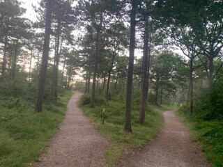 Vakantiepark Den Burg Omgeving 33