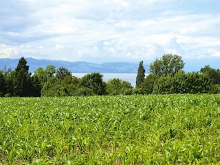 Parco vacanze Immenstaad Ambiente 24