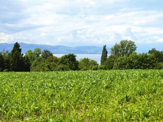 Ferienpark Immenstaad Umgebung 26