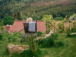 Holiday park Schierke Outdoor Recording 4