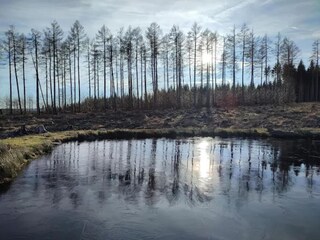 Vakantiepark Schierke Omgeving 24