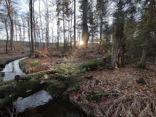 Holiday park Schierke Environment 30