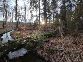 Parc de vacances Schierke Environnement 29