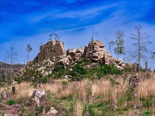 Vakantiepark Schierke Omgeving 28