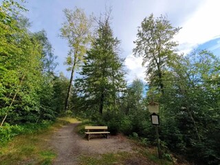 Parco vacanze Schierke Ambiente 31