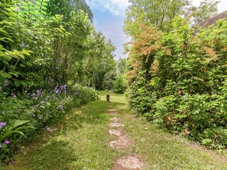 Vakantiepark Les Eyzies-de-Tayac-Sireuil Buitenaudio-opname 9
