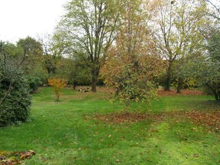 Vakantiepark Les Eyzies-de-Tayac-Sireuil Omgeving 37