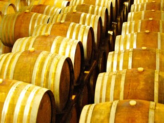 Parco vacanze San Casciano  33