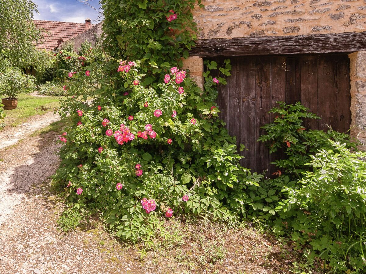 Ferienpark Les Eyzies-de-Tayac-Sireuil Umgebung 22