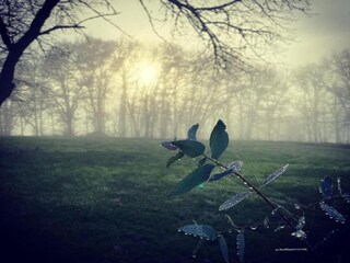 Parc de vacances Les Eyzies-de-Tayac-Sireuil Environnement 26