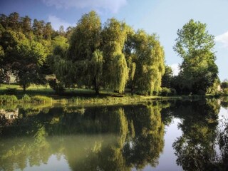 Ferienpark Les Eyzies-de-Tayac-Sireuil Umgebung 37