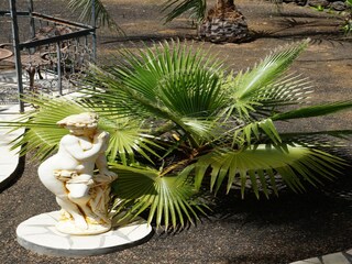 Parque de vacaciones Tajuya Grabación al aire libre 6