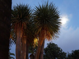 Parco vacanze Tajuya Registrazione all'aperto 7