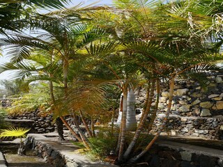 Vakantiepark Tajuya Buitenaudio-opname 9