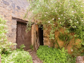 Vakantiepark Les Eyzies-de-Tayac-Sireuil Omgeving 21