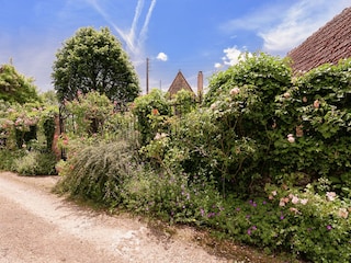 Holiday park Les Eyzies-de-Tayac-Sireuil Environment 13