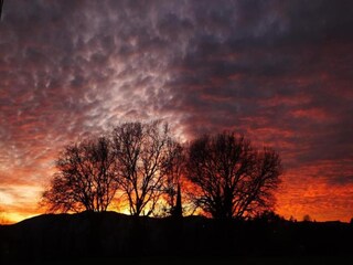 Parc de vacances San Casciano Environnement 35