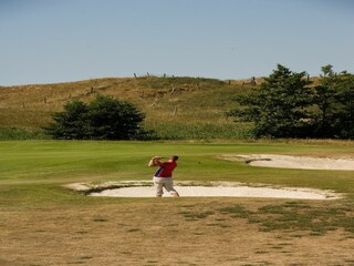 Vakantiepark Den Burg Omgeving 13