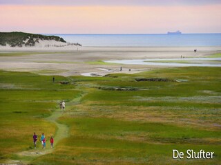Vakantiepark Den Burg Omgeving 14