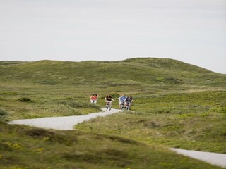 Vakantiepark Den Burg Omgeving 21