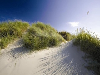 Vakantiepark Den Burg Omgeving 23